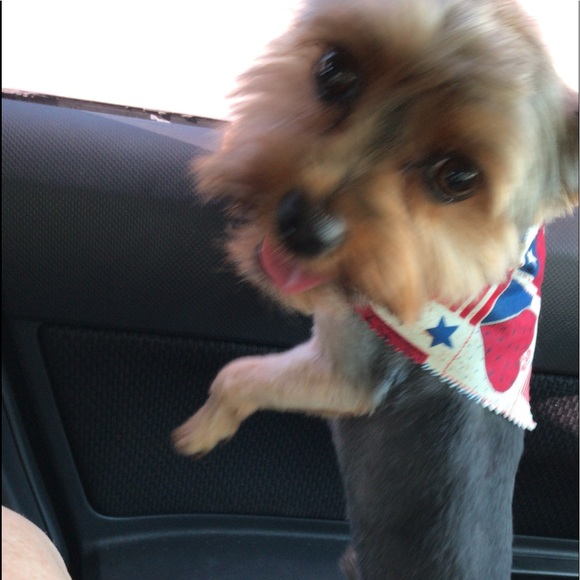 Meet your Posher, Amanda - Picture 1 of 1